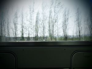 36: view