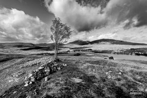 Bridge of Orchy, Scotland | 31