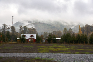 The overcast sky