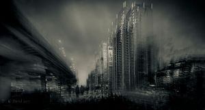 Rainy  Taipei Nights