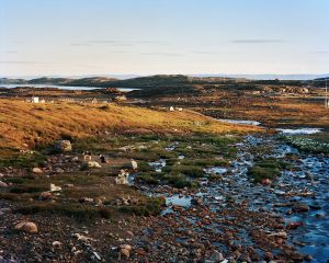 Sled Dogs, Iqaluit NU, 2011 © Scott Conarroe