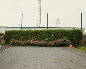 85.	The Turnbull Ground
