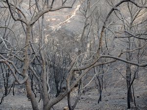 Backbone Trail (2248)