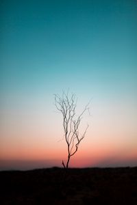 From the Earth