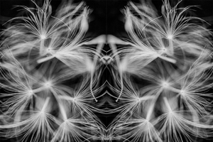 Pareidolia Effect