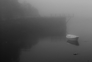 Moored Dory