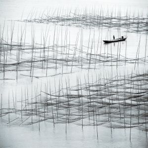 Seaweed Farm