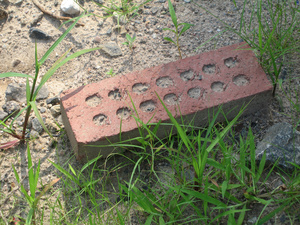 red brick and green grass
