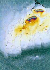 Untitled (Gowsanus Canal)