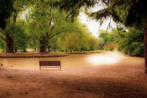 A BENCH IN THE PARK