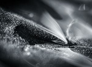 Untitled #33