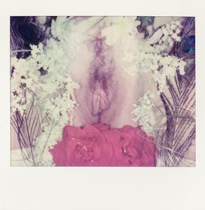 Vulva 9