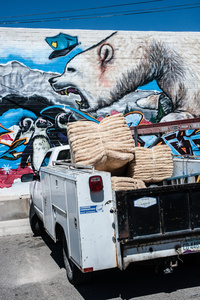 Street Art/Tucson Polar Bear in Heat