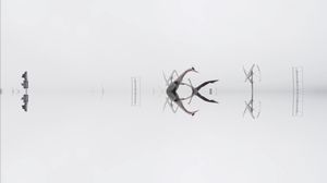 Fog 5. From the series, And the Whole World Stops.