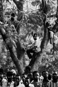 La fête du village - boys in trees and girls in the crowd, waiting for the spectacle to begin in a little village in Burkina Faso.
