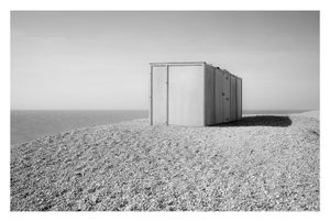 Dungeness #12
