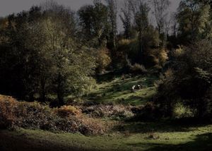 Tribute to Millet. Showing at School Gallery. Courtesy of PhotoLondon.