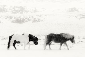Cold walk