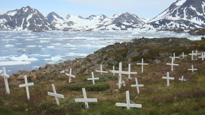 The Dead