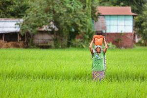 Collecting Water