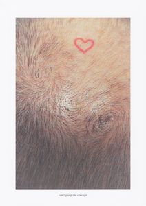 can't grasp the concept.