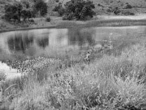 Seasonal pond