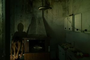 The shadow