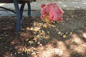 Ate too much