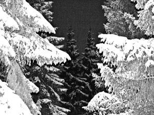 © Peter Thomas Petersen