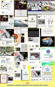 2023 Exhibitions, catalogs, curatorial interview, publication