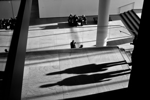 MoMA