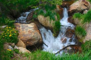 Stream Detail, Aspen Basin, NM