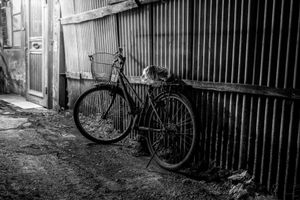 Bicycle 3