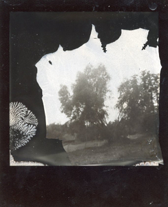 Constructed Landscapes 8