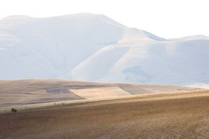 ITALIA