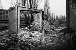 Nothing on TV  -  foliage winds itself through the broken television box  © Darren Nisbett