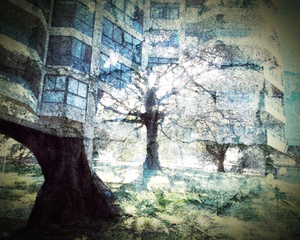 Tree of Light