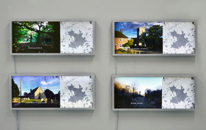 Dead Zone: Denge Wood