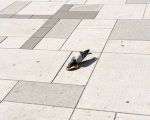 From the project, Wide Eyed © Jon Horvath