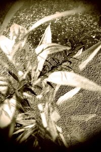 It is a plant to asphalt