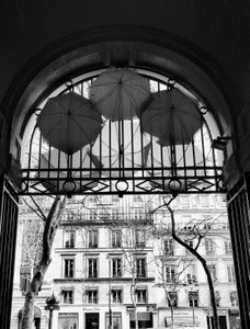 Umbrella Sky Project 10