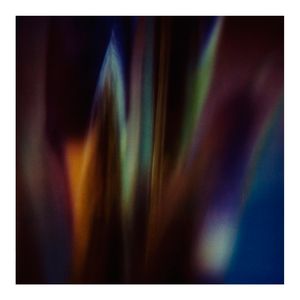 Twilight | The Secret Life of Plants XI