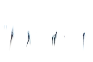 SHADOWS #D25714
