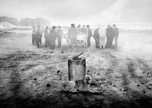 © Samad Ghorbanzadeh