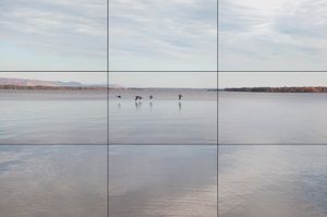 © 2012 Nicholas Adam Wojtas. All Rights Reserved