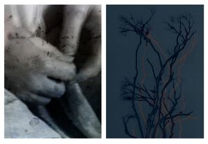Dissociated #7