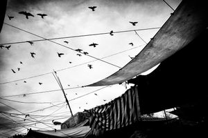 Market