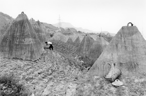 "Farming", New City Zigui .jpg