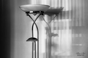Still Life | 19