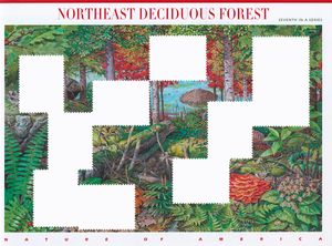 "Nature of America (or what’s left of it)"